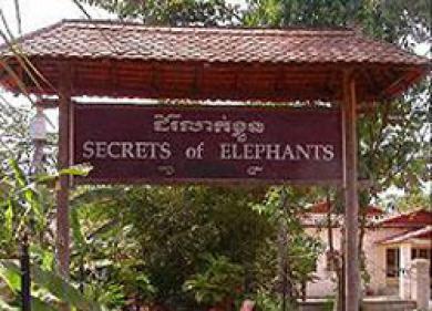 Secrets Of Elephants Hotel Siem Reap Exterior photo